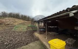 Casa 3 camere, Medias - Poză 19