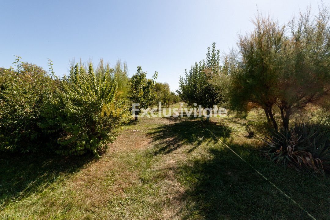 Casa visurilor cu 4000 mp livada roditoare si gradina Darmanesti-Arges - Poză 6