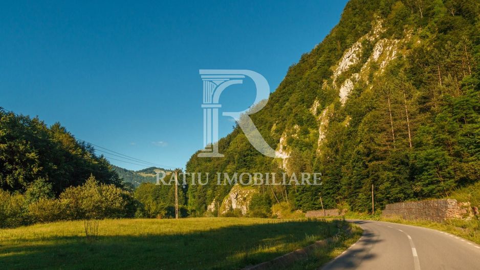 PENSIUNE DE ÎNCHIRIAT | REMEȚI | BIHOR | CIUBĂR & SAUNĂ - Poză 21