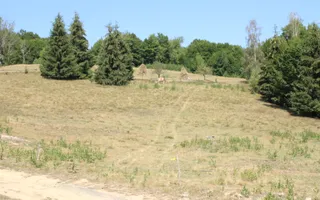 Terenuri Carpinis I parcelabil I Curent pe proprietati - Poză 13