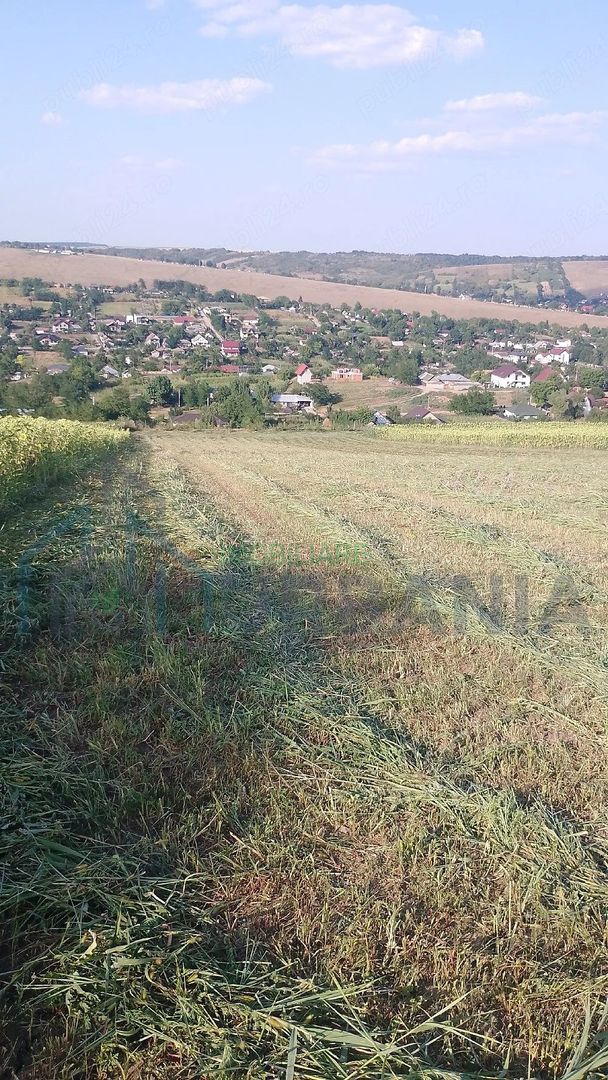 Teren extravilan de vânzare în Vânători, comuna Popricani - Poză 5