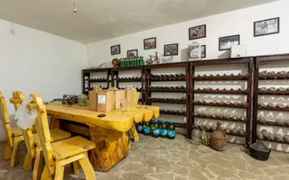 Oportunitate Rară – Vilă pe Malul Lacului Snagov | Piscina | Ponton | COMISION 0 - Poză 59