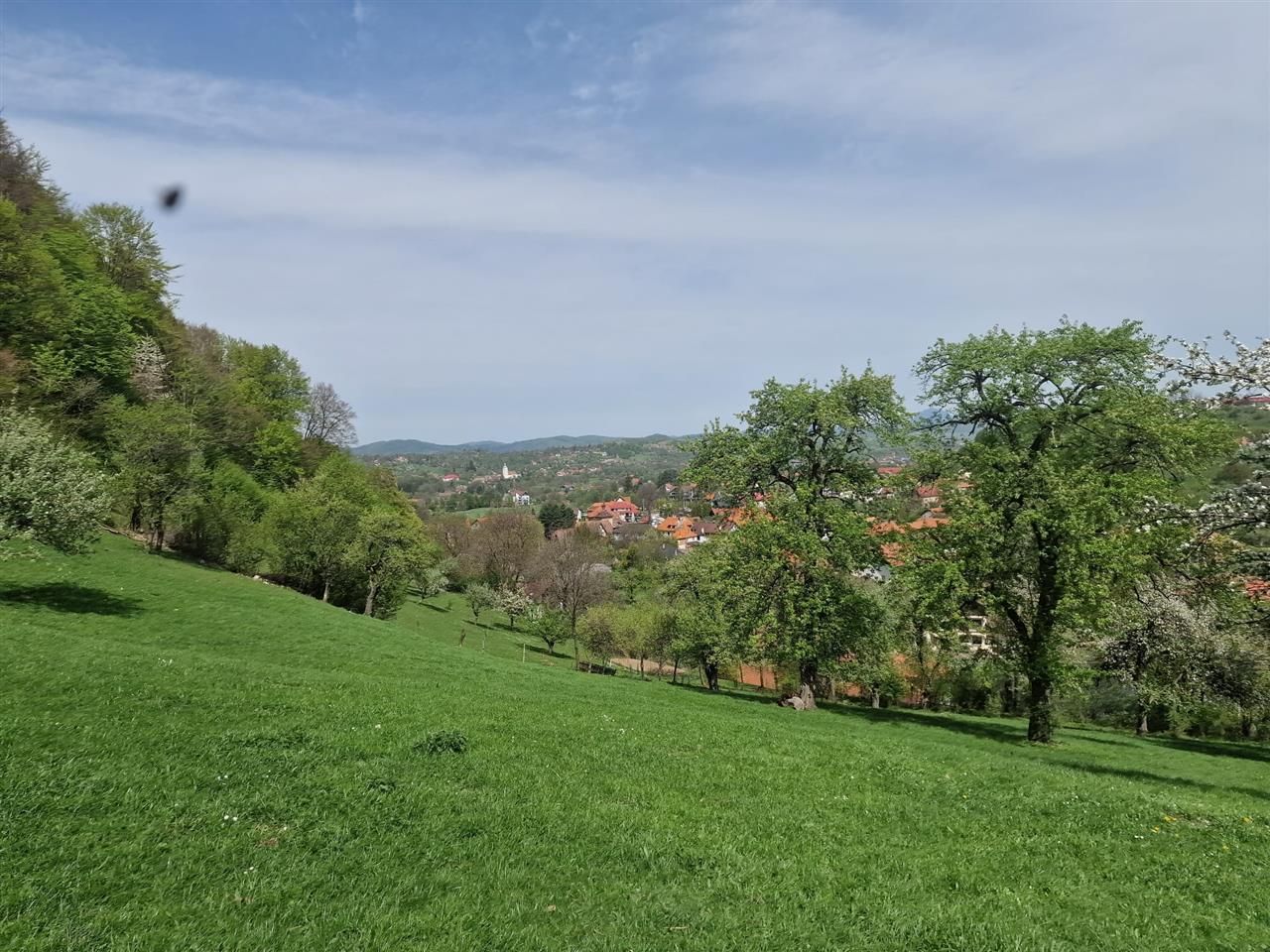 Langa emblematicul Castelul Bran, in areal colinar, 5.700mp intravilan - Poză 11