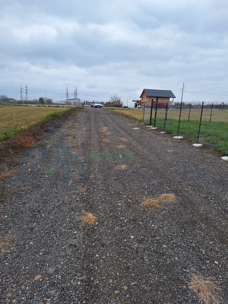 Teren de casă în Târgu Frumos, strada Petru Rareș – 500 mp - Poză 3