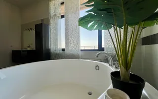 Penthouse LUX ***370mp*** // Iancu Nicolae - Poză 48