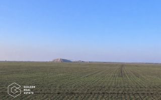 Teren agricol 32.000 mp, deschidere sosea Arad–Siria - Poză 1