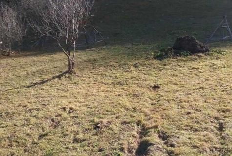 teren intravilan Moieciu de Jos Brasov - Poză 3