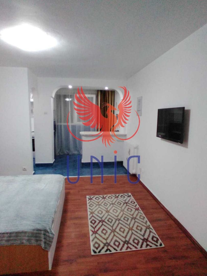 Garsoniera Brazda lui Novac, parter - 65 000 Euro - Poză 2