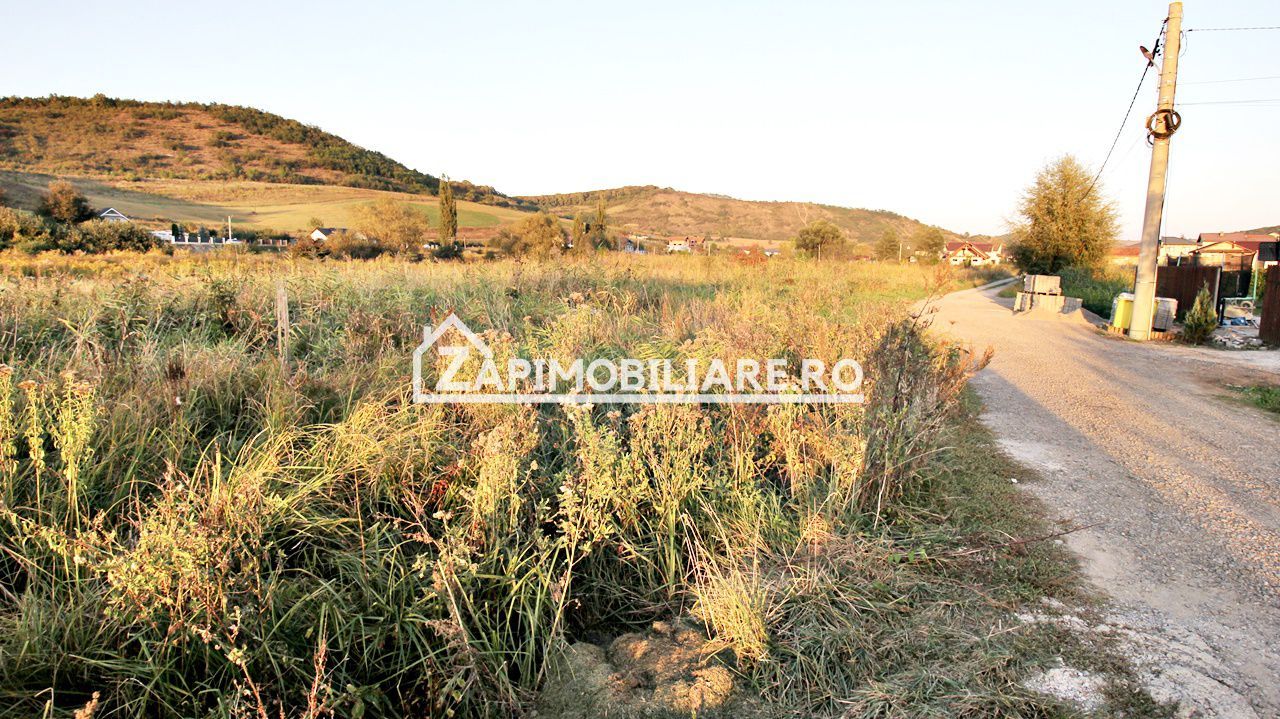 De vanzare 2 terenuri de 29.500 mp si 1.400 mp.29 euro mp - Poză 12