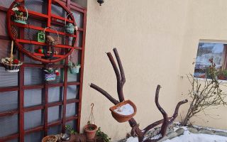 Pensiune in decor fermecator, loc de istorie si legenda, Moieciu de Jos, Bran - Poză 15