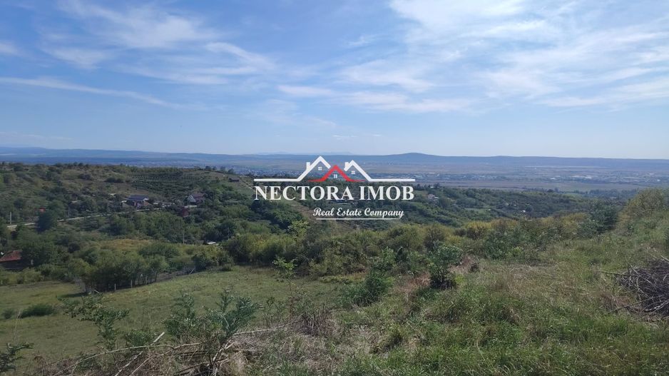 NECTORA IMOB-Teren Saldabagiu de Munte, 2350 mp, 21 ml front stradal - Poză 3