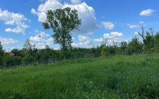 Casa in Comuna Geaca - Poză 13