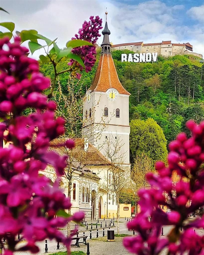 Teren intravilan, pe 2.623mp, zona de case, Rasnov, Brasov - Poză 3