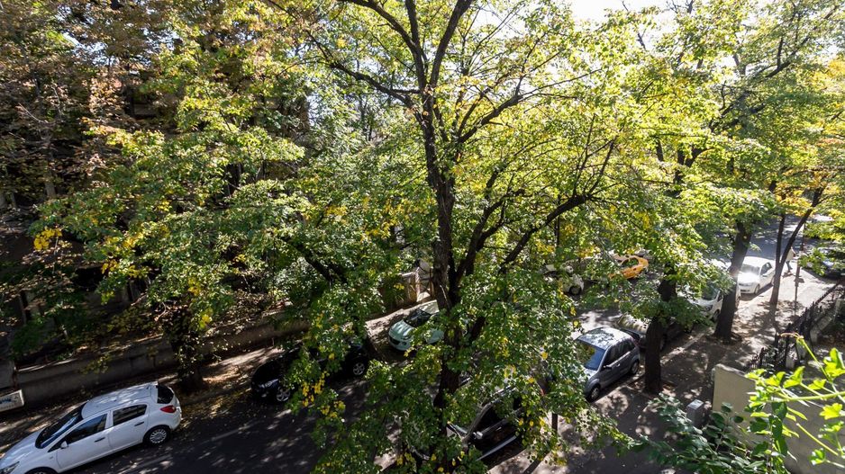 Apartament 3 Dorobanti Nou 100Mp || Strada Roma || Centrala Proprie || Video - Poză 8