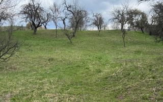 TEREN INTRAVILAN 4365 MP POENARII DE MUȘCEL  JUDEȚUL ARGES - Poză 28