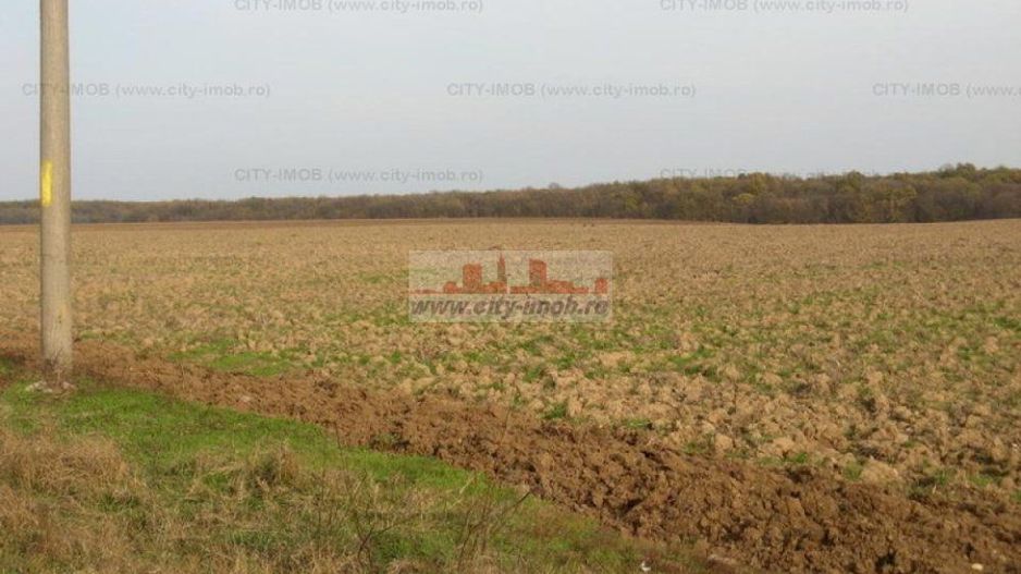 Vanzare Teren - intravilan - Snagov - Poză 3