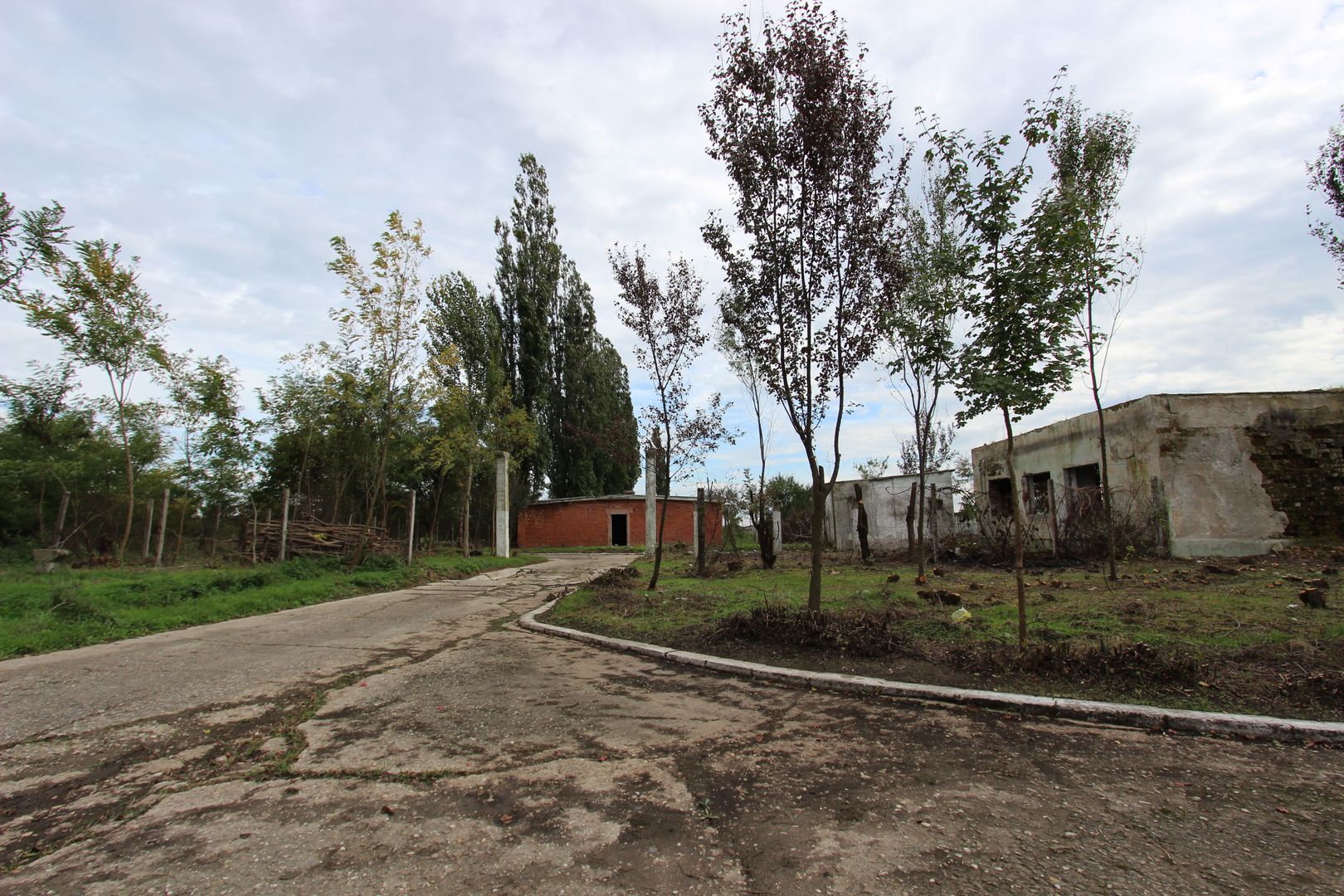 Vanzare hale Mosnita Noua-fosta Ferma 7 - Poză 44