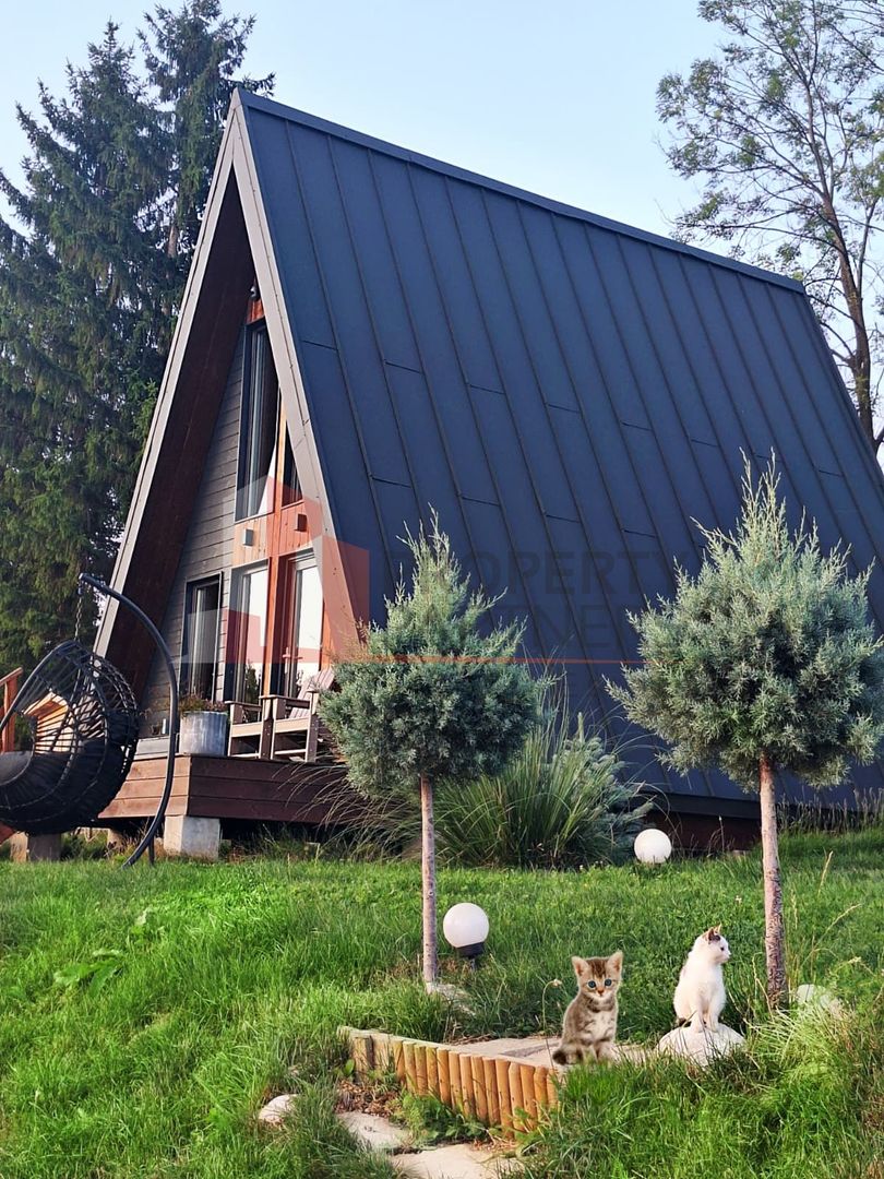 2  A-Frame | Bran Sohodol| 2 cabane | Teren 3.812 mp | Operațional | - Poză 3