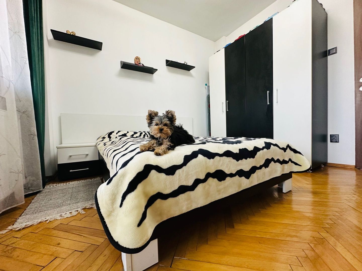 Kiko isi vinde primul camin | 3 camere | P-ta Iuliu Maniu - Poză 7