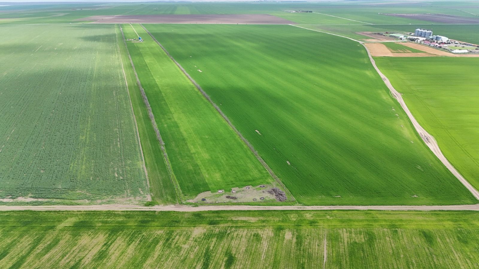 Teren de vanzare in Săcele ideal pentru silozuri, fermă 6 ha - Poză 7