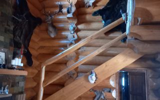 Cabana tip Chalet cu 4 dormitoare Cheia Valea Stanii - Poză 21