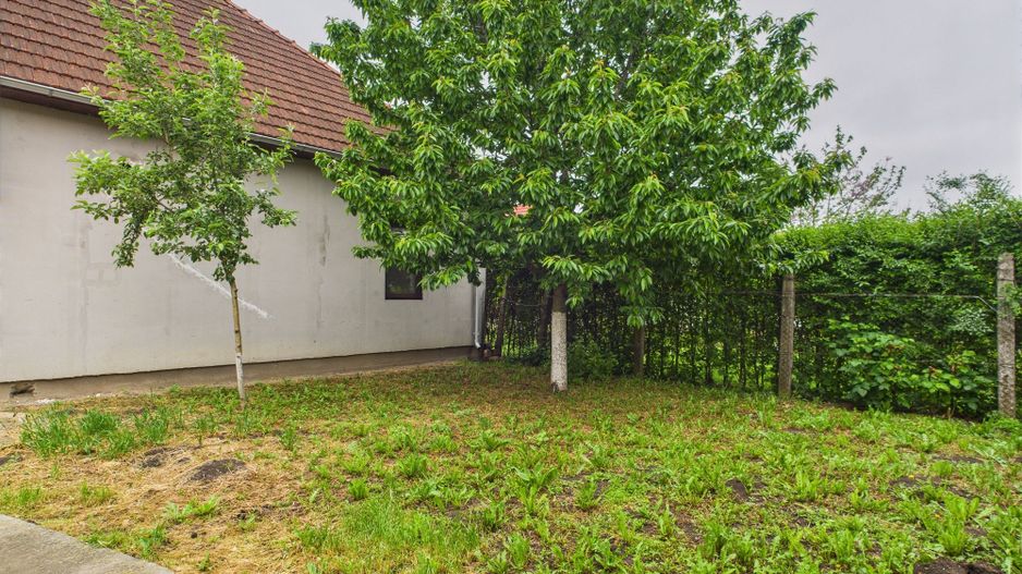 Casă Individuală cu spațiu comercial - Variaș - Poză 21