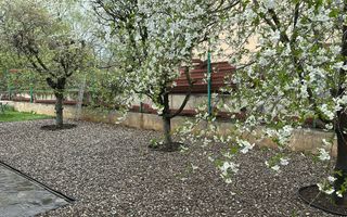 Vila cu potential zona Jolie Ville - Poză 5