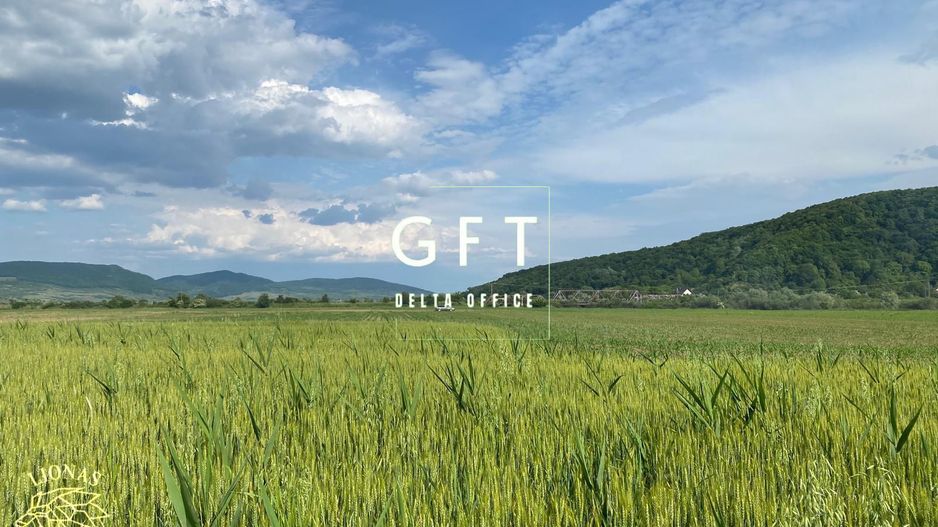 Teren -4.300 mp - Arabil - Chintelnic - Poză 1