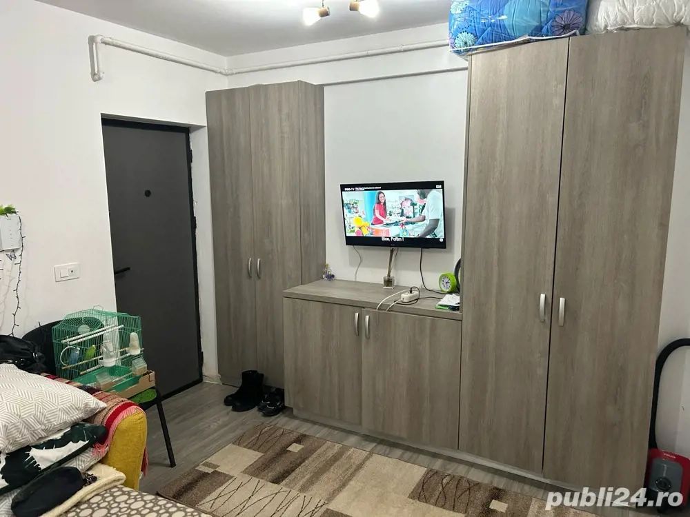 Apartament 1 camera 33 mp Bucium Visan 65000 euro - Poză 3