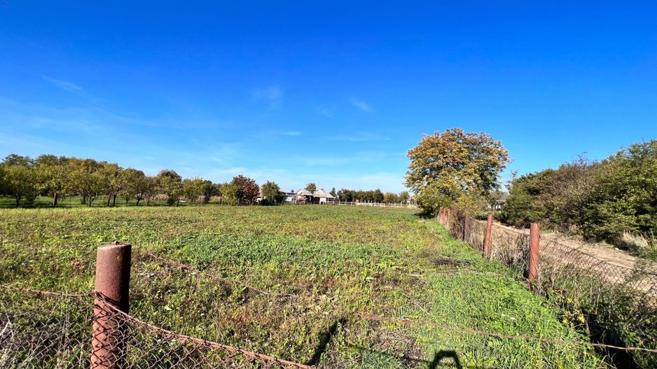 Vând proprietate deosebită, 8 km de Satu Mare – Apateu - Poză 6