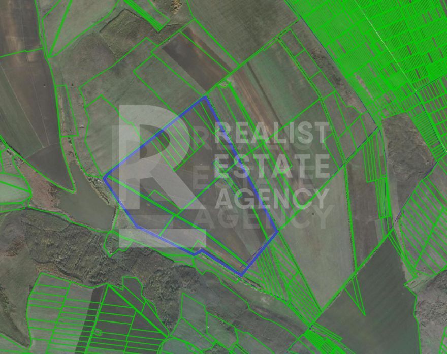 Vânzare, teren, 110 ha, sat. Țînțăreni, Anenii Noi - Poză 2