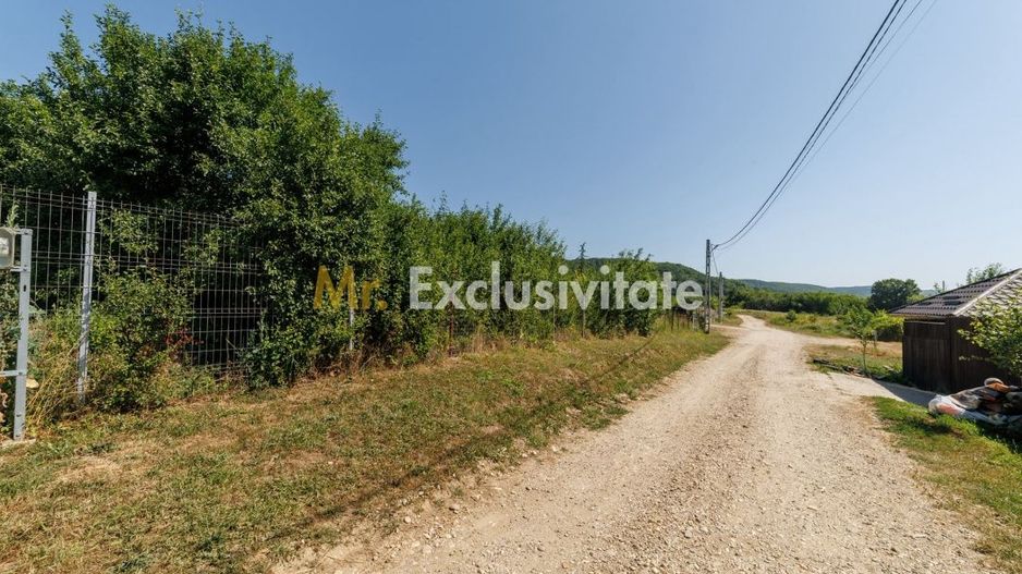 Teren intravilan Ștefănești Valea Mare Podgoria - Poză 2