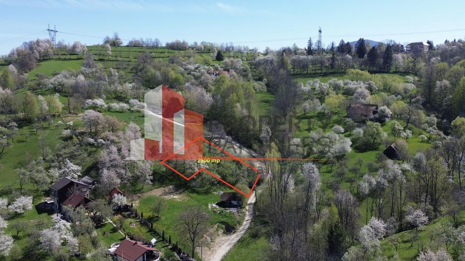 Teren 2500 mp Sohodol - Poză 1