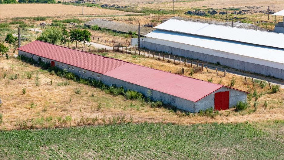 Cogealac - Tariverde – Ferma cu teren intravilan, utilitati racordate! - Poză 7