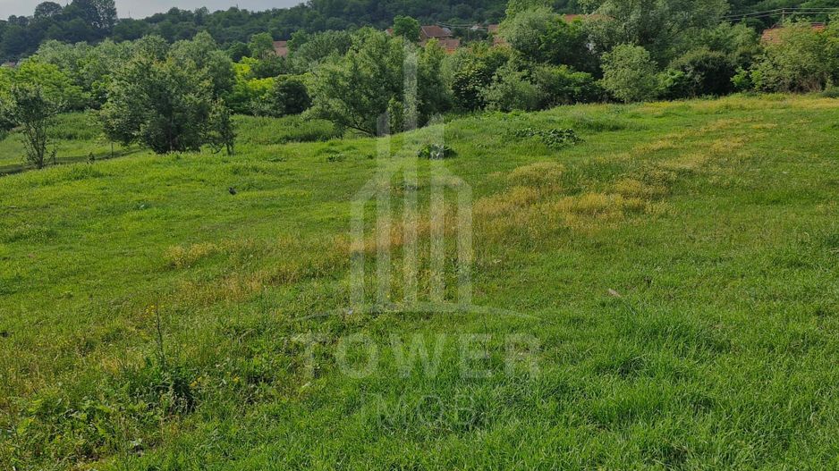 De vânzare Teren versatil 3.919 mp  in localitatea Armeni. Sibiu - Poză 3