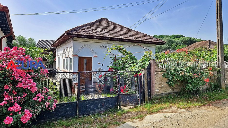 AZURA Imobiliare - Casa Merisani zona Primarie, Panouri fotovoltaice - Poză 30