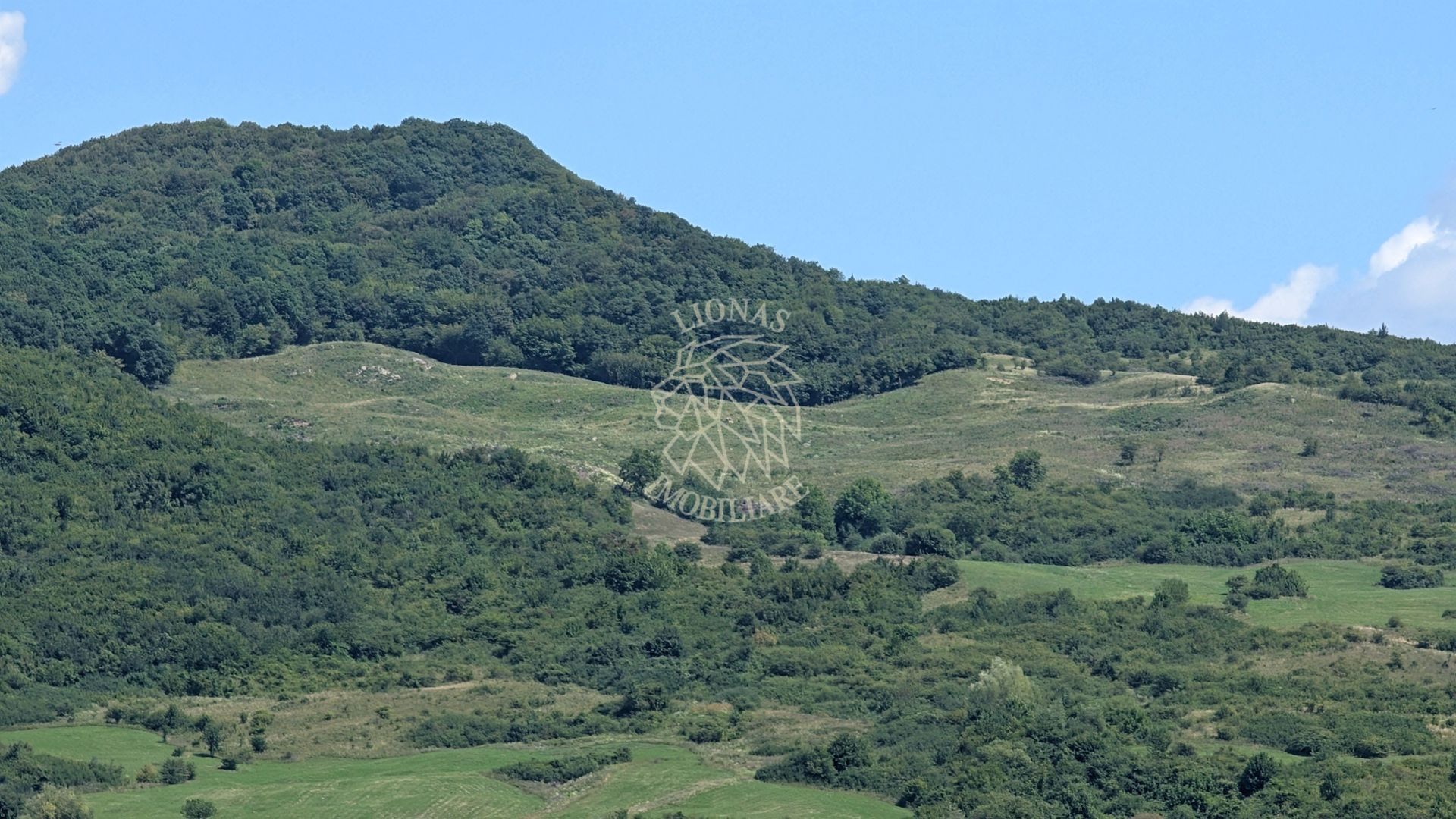 Teren 4 Ha-ideal investitie, Fonduri Europene-Dumitra - Poză 2