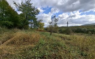 Teren intravilan cu Puz si priveliște deosebită, spre Cetatea Cisnădioara - Poză 13