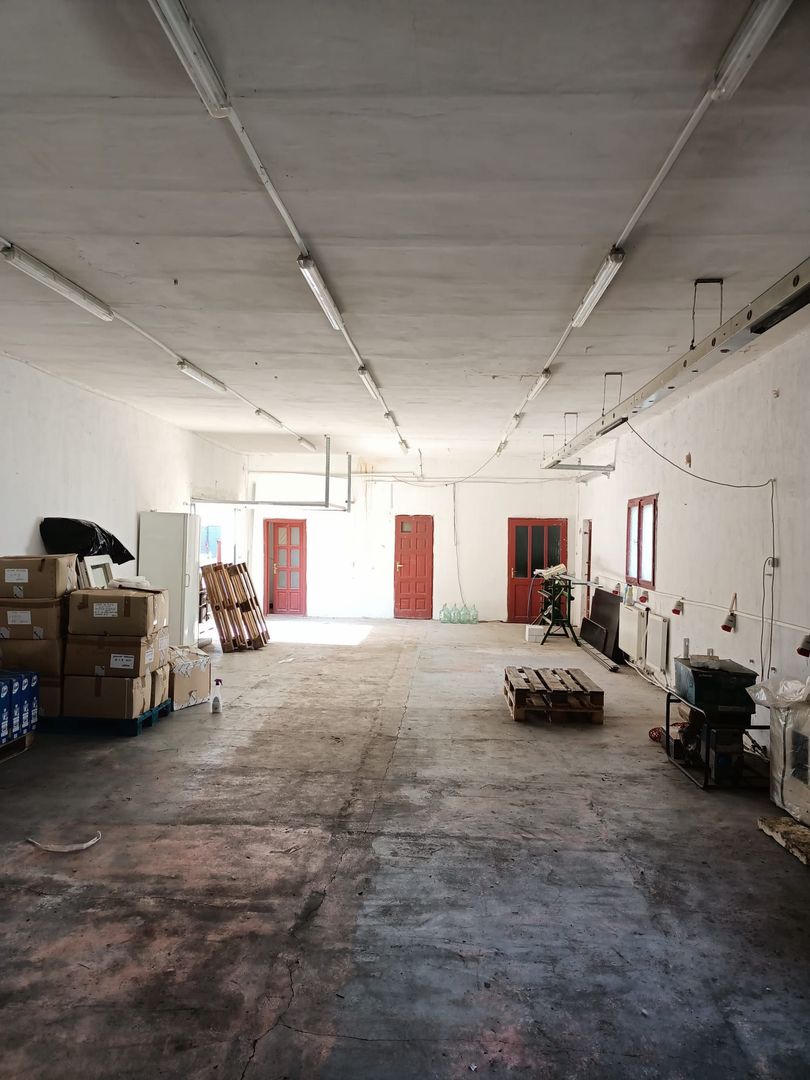 Hala depozitare - 200 mp_Remetea Mare - Poză 1