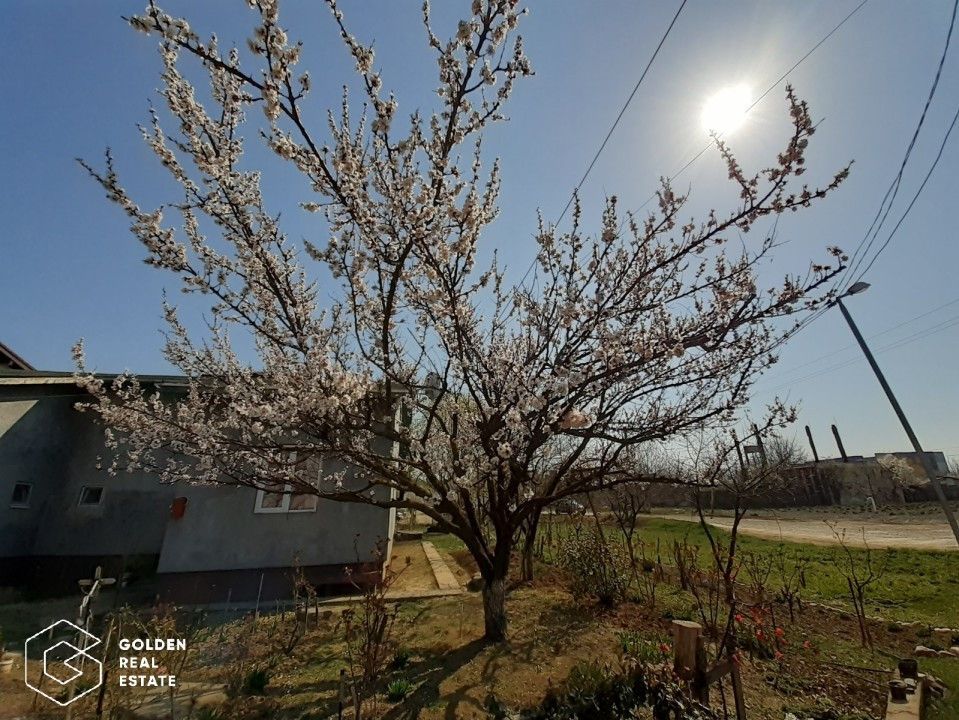 Duplex parter, cu gradina si mini livada - Poză 3