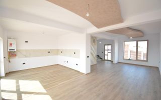 Vila in modul insiruit - Popas Pacurari - Poză 2