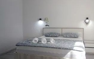 Casa 1 camera | Gradina 120 MP | Renovata | Lazaret - Poză 3