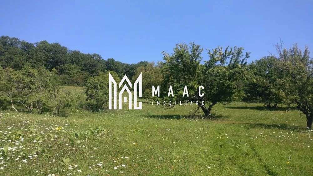 Teren 2.800 mp I Cisnadie - Poză 4
