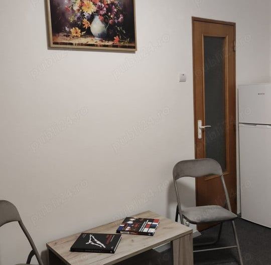Garsonieră Moise Nicoară București - Poză 2
