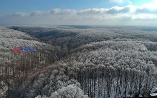 COMISION 0% -Casa deosebita Ciocanai - Poză 45