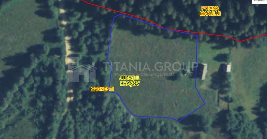 Platou montan, 6631 mp intravilan, electricitate,  langa pădure - Poză 6