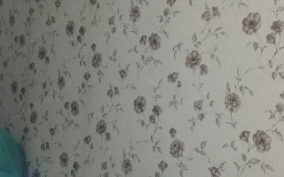 Garsonieră complet renovată, Tătăruși, 55.000 EUR - Poză 5