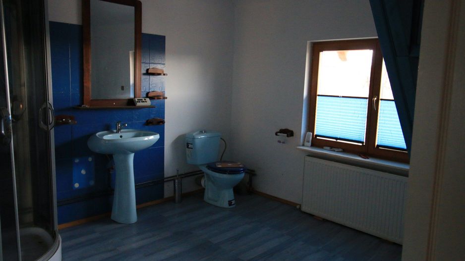 Vila cu 6 camere + 2 case + bazin inot+ 5.934 mp teren  com. Chichis - Poză 13