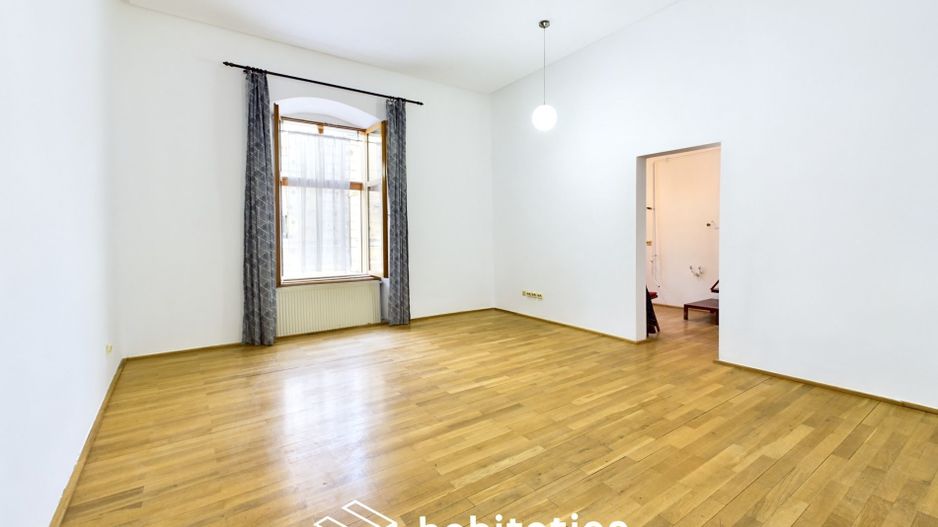 Apartament boem 1 cameră, anexe 73 mp – Piața Unirii, zonă pietonală - Poză 6