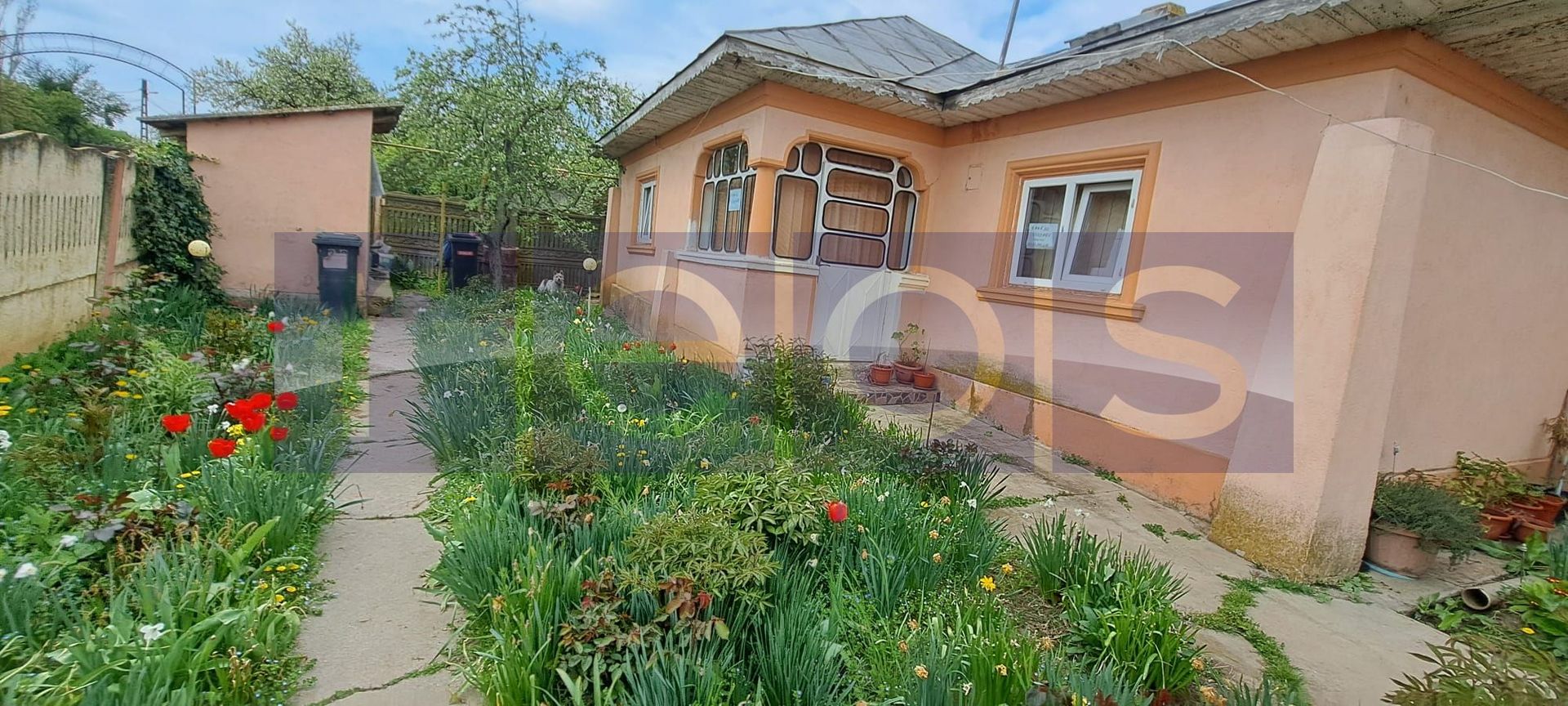 VANZARE CASA | TEREN 1100 MP | GARAJ, FOISOR, LIVADA | ROSIORI DE VEDE - Poză 2